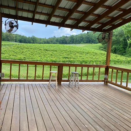 Eagle Mountain River Retreat Ellijay Ngoại thất bức ảnh